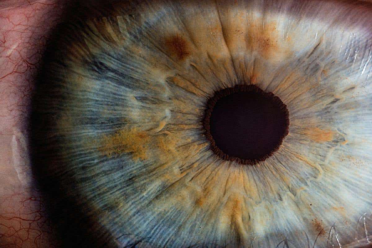 How Breathing Influences the Size of Your Pupils 