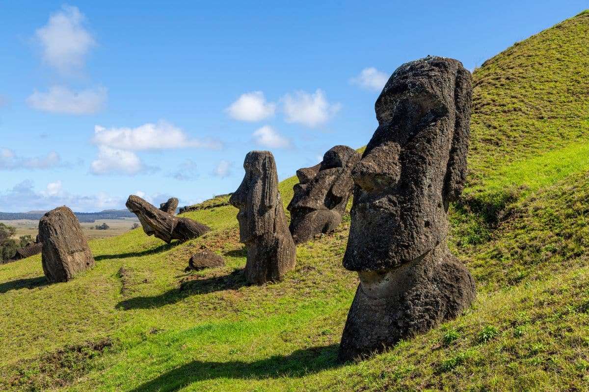 The Return of Rapa Nui’s Lost Toromiro Tree: A Botanical Revival 