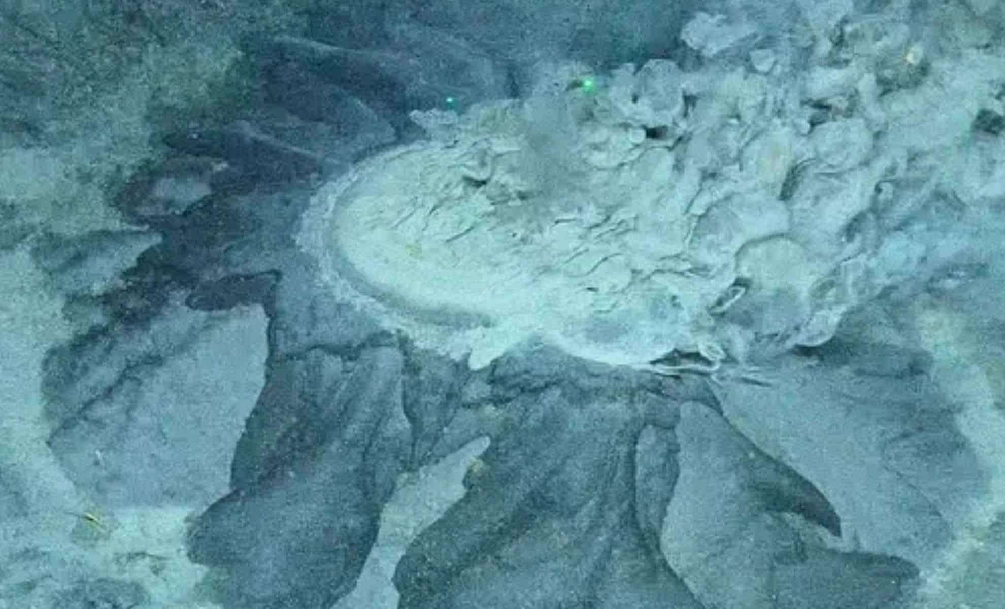 Hidden Arctic Mud Volcano Revealed to Harbor Thriving Life Beneath the Ice 