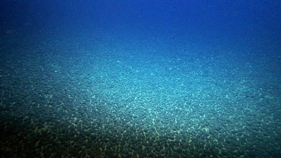 A-dense-manganese-nodule-field-on-the-deep-seabed.-Photo-courtesy-of-the-Nippon-Foundation-d1b2c2061646e481bb40886975301143.jpeg