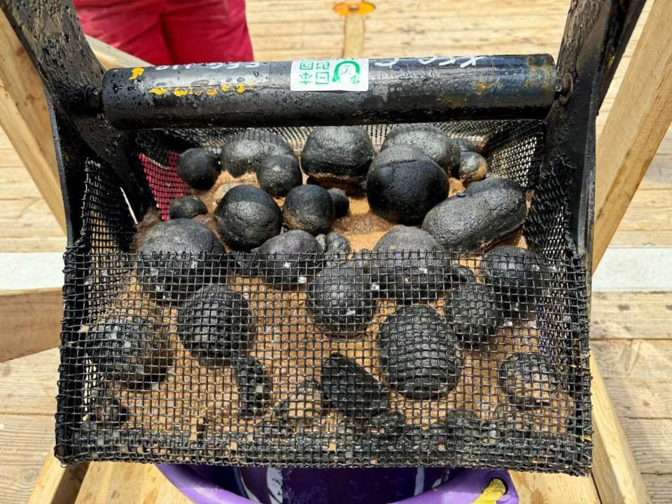 Manganese-nodules-lifted-from-the-deep-seabed.-Photo-courtesy-of-the-Nippon-Foundation-1d927066e4bfdfa40087c2d124c66309.jpeg