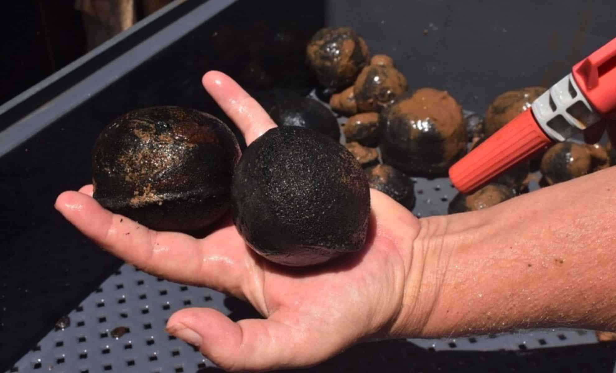 Massive Deep-Sea Rare Metal Deposit Discovered Near Japan’s Minamitori Island 