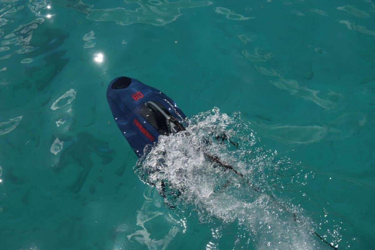 Autonomous Underwater Drone Swarms Revolutionize Ocean Habitat Preservation 