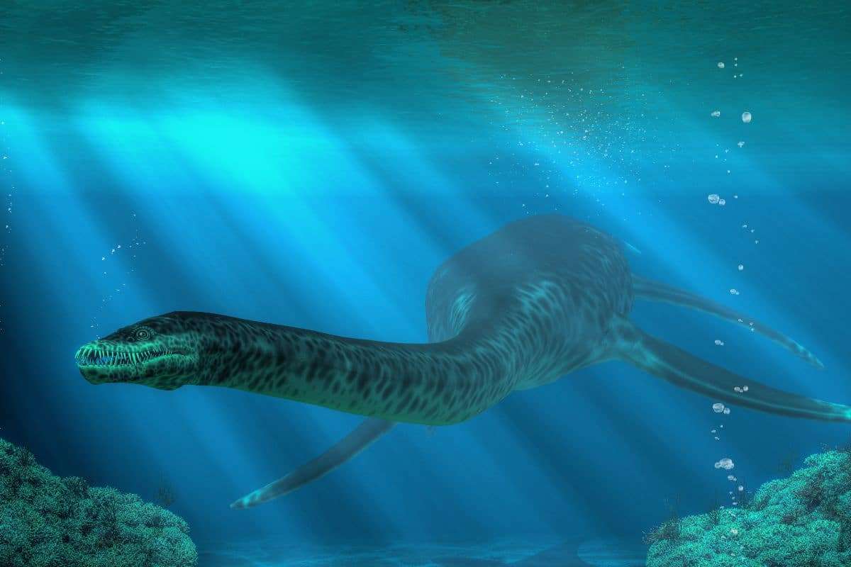 Unique 183-Million-Year-Old Plesiosaur Fossil Sheds New Light on Ancient Skin Patterns 