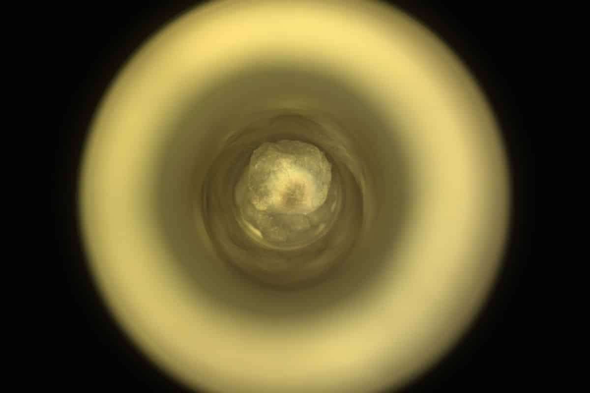 NASA’s Latest Martian Sample Could Unlock Secrets of Planetary History 