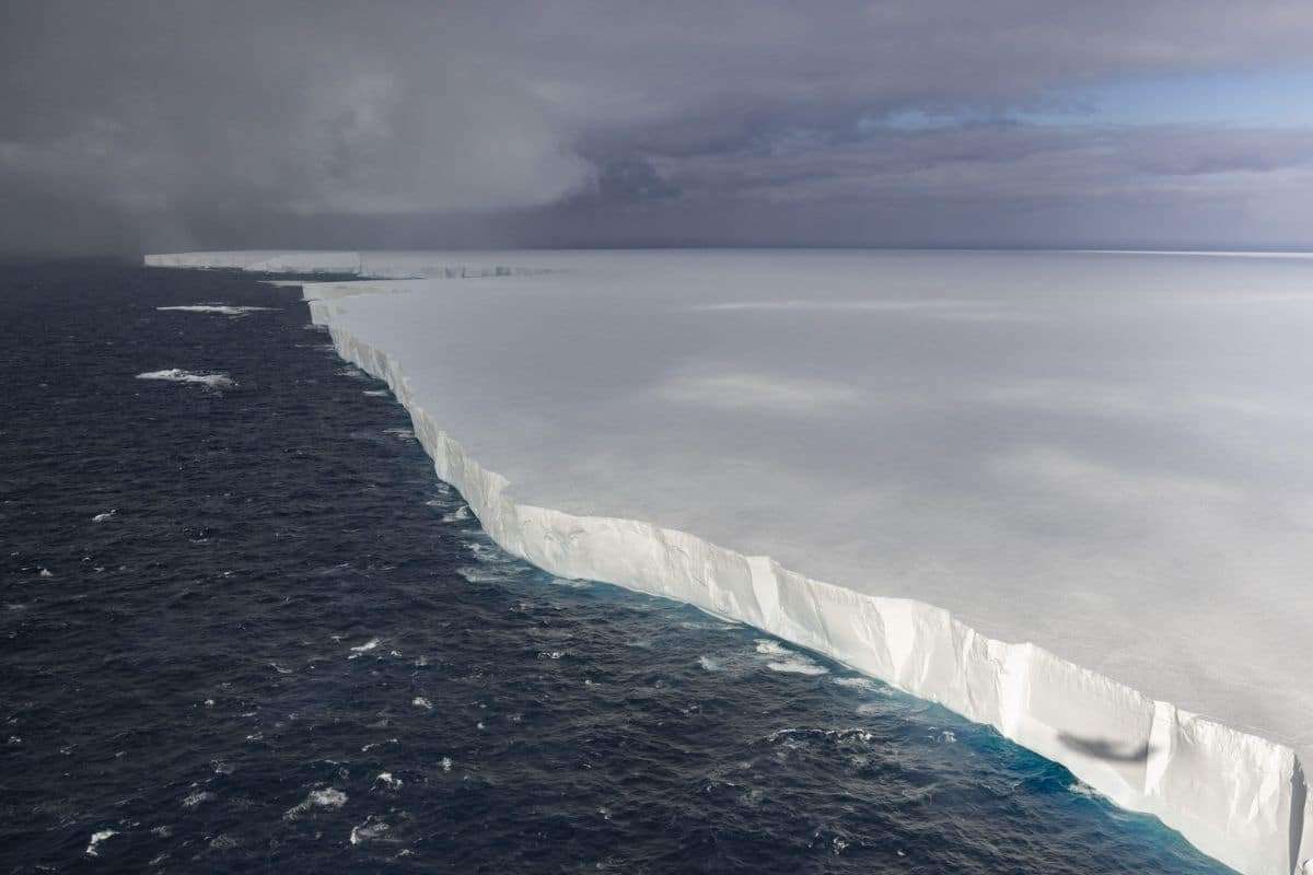 Massive Iceberg A23a Approaches South Georgia: What Could Unfold? 