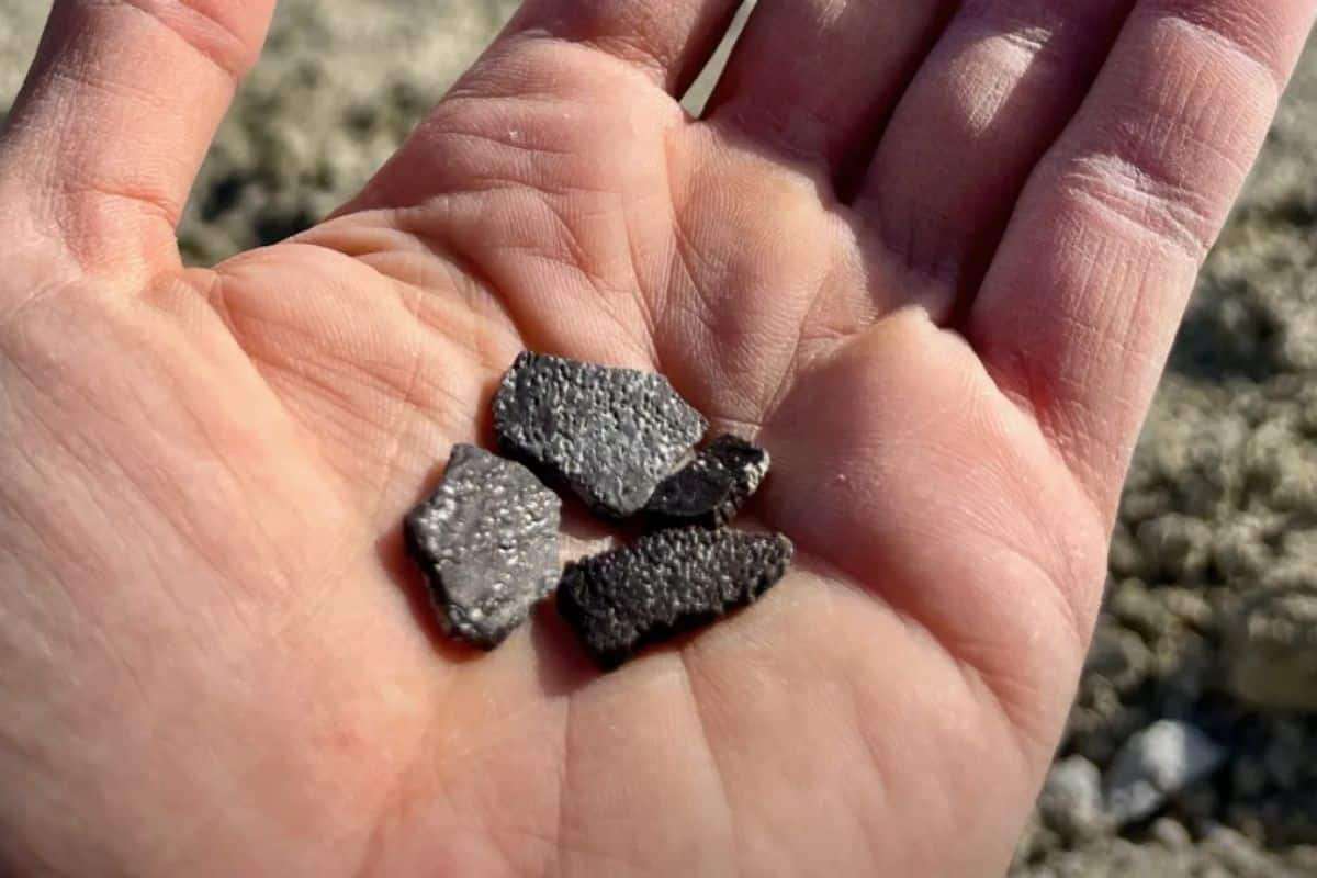 Ancient Dinosaur Eggs from Utah Illuminate a Lost Cretaceous Ecosystem 