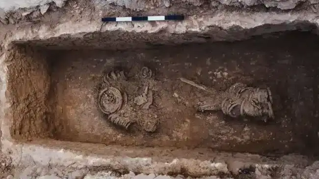Credit-Journal-of-Archaeological-Science-Reports-c8793be9ecc414fdcaa8def33fdf5b99.webp