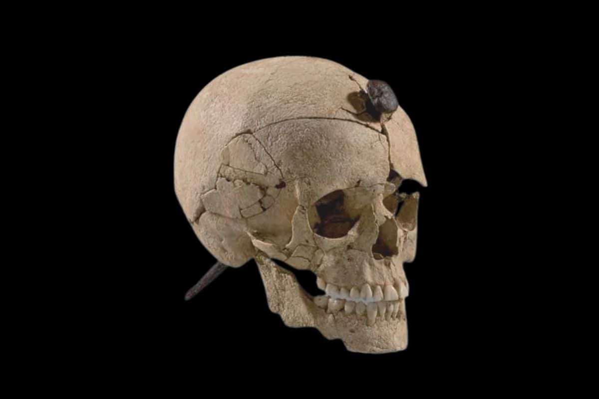 Decoding Ancient Iberian Severed Heads: Tribute or Ancestral Honor? 