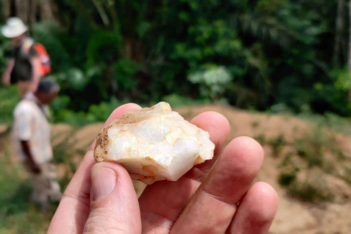 150,000-Year-Old Stone Tools Uncover Early Human Life in West African Rainforests 