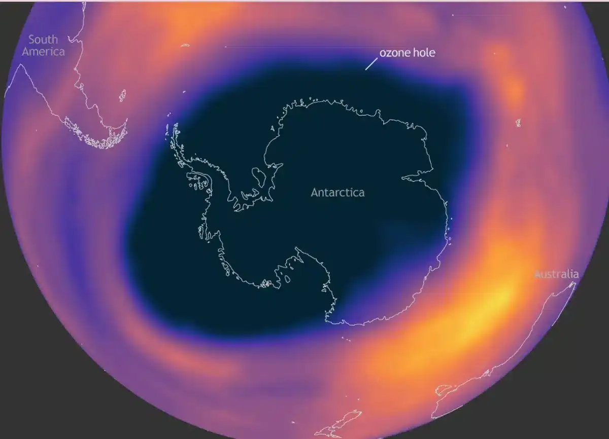 ozone-l-7192ccd087b42f90e4b42648f871db35.webp