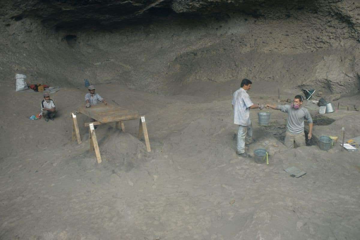 7500-Year-Old Avocado Fossils Unveil Early Human Cultivation in Honduras 