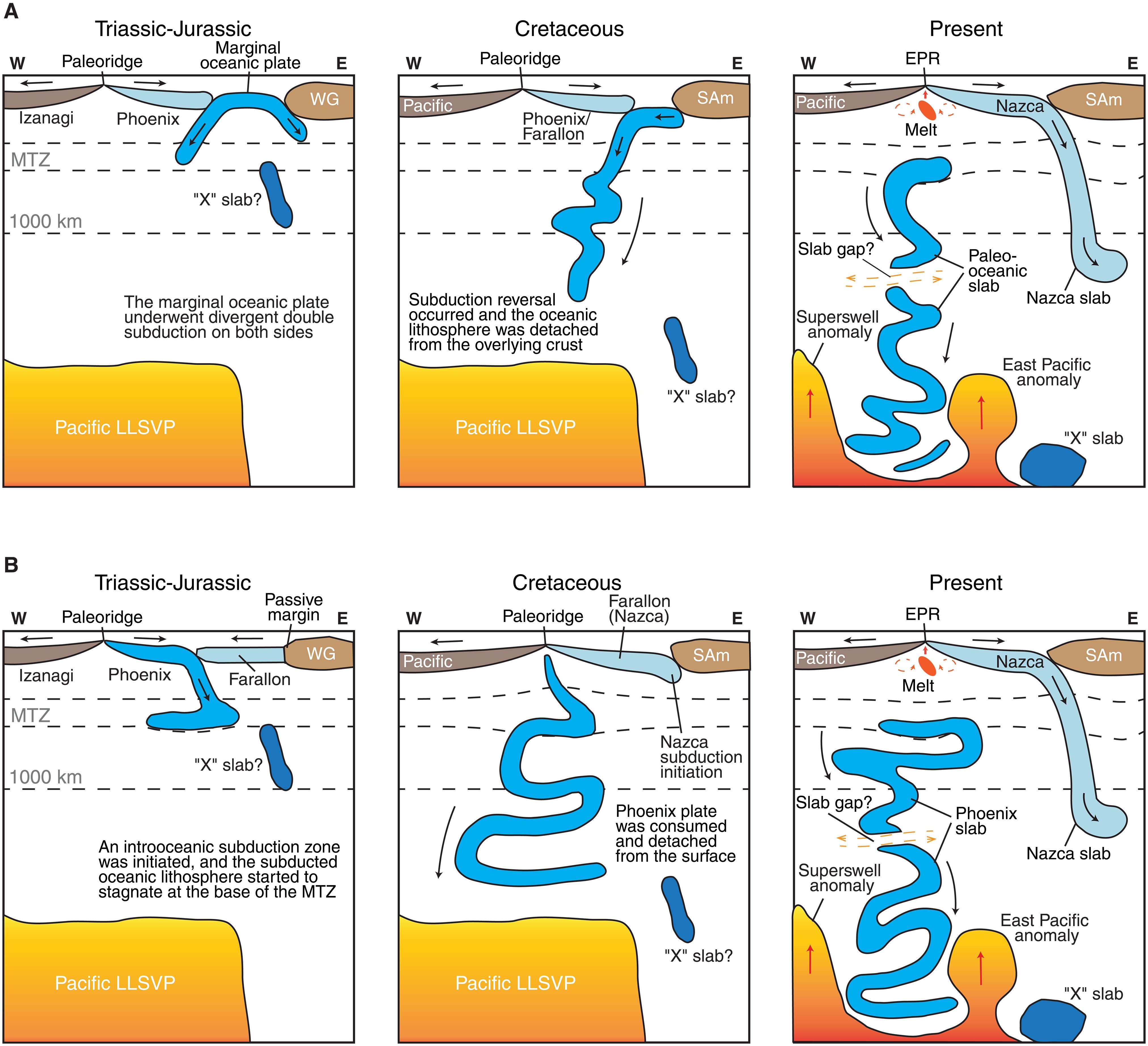 Interpreted-evolution-of-the-SEPR-anomaly-395de06a2345372c32ee100aec16da12.jpeg