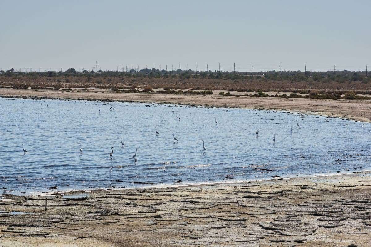 California’s Biggest Lake Is Vanishing—Here’s Why It Matters 