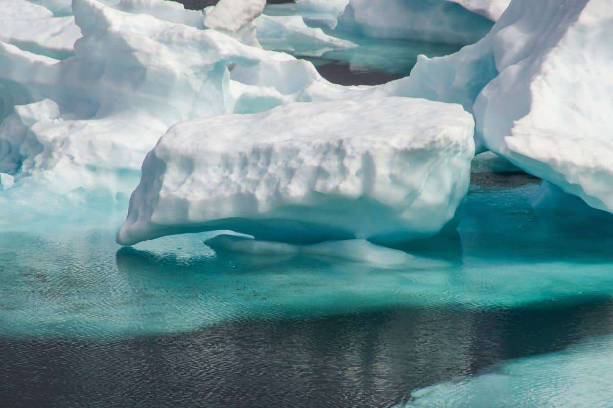 World Sea Ice Levels Plunge to Historic Lows Amid Warming Fears 