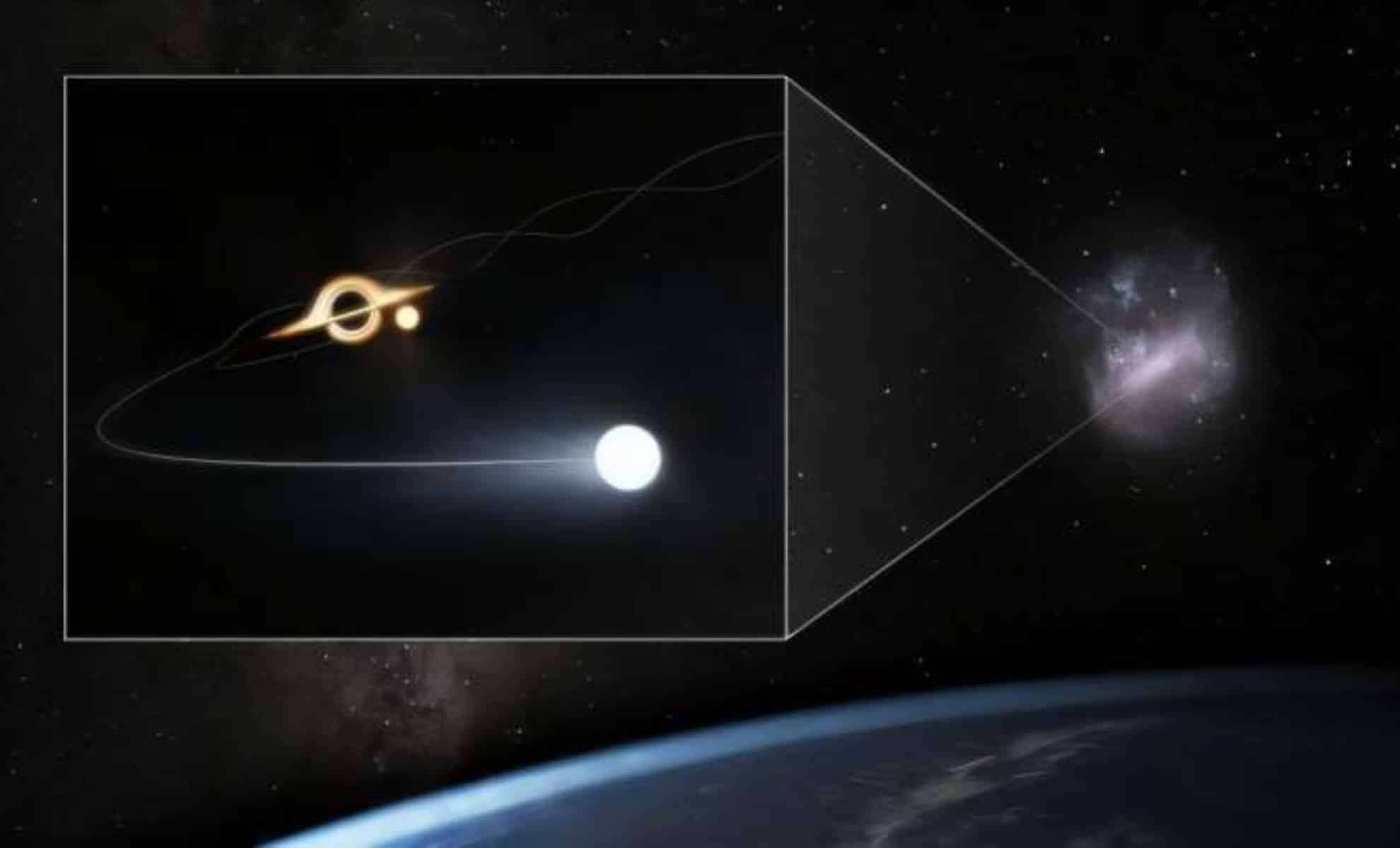 Nearby Giant: Discovery of a Hidden Supermassive Black Hole in the Large Magellanic Cloud 