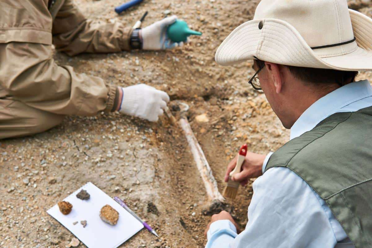 New Dating Method Uncovers True Age of Neanderthal-Human Hybrid Child 