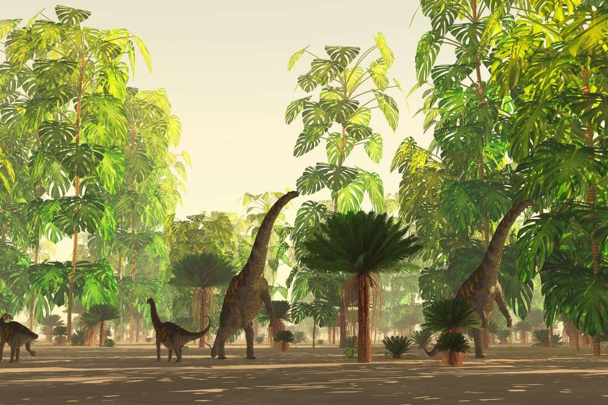 Newly Discovered Titanosaur Sheds Light on Prehistoric Patagonia Ecosystem 