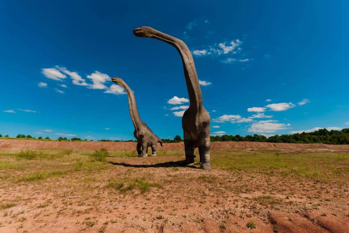 Isle of Skye Dinosaur Fossil Unearthed After Five Decades 