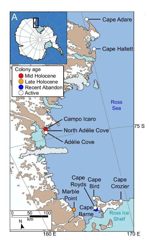 Location-of-study-sites-eastern-Victoria-Land-bordering-the-western-Ross-Sea-Antarctica-e2d7101b25f092864d46717a8a995aef.jpg