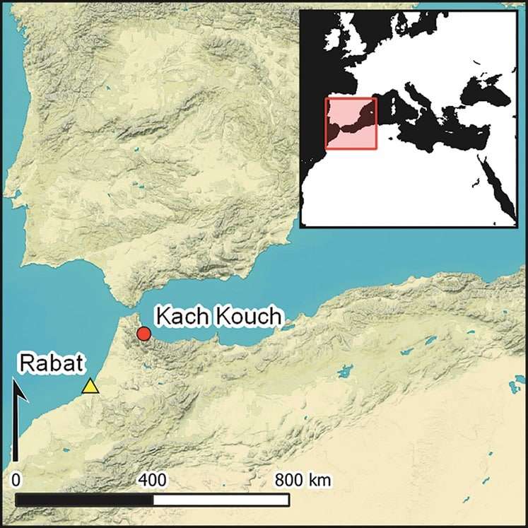 Kach-Kouch-c26fda568043d928a6e9addec6955718.jpeg