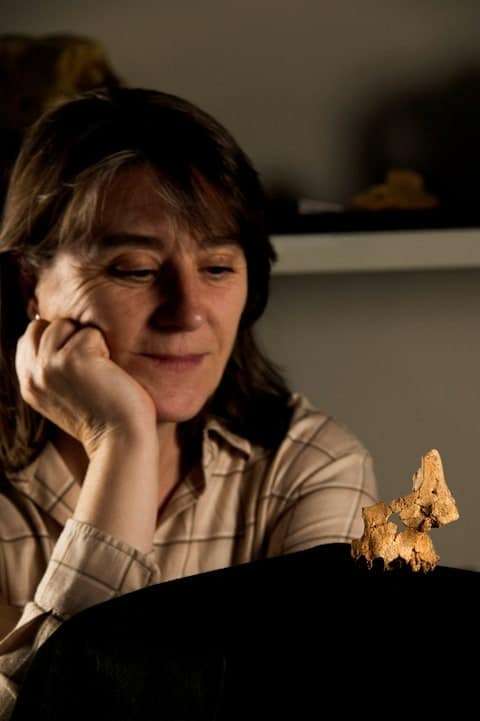 IPHES-CERCA-researcher-Rosa-Huguet-af222dd0605844081d8b6cd10f930547.jpeg