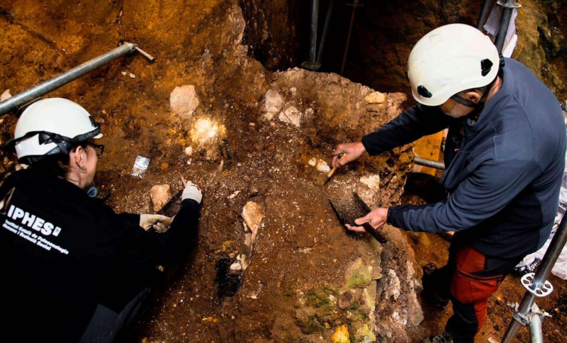 Meet “Pink”: Europe’s Earliest Known Human Face Unearthed in Spain 
