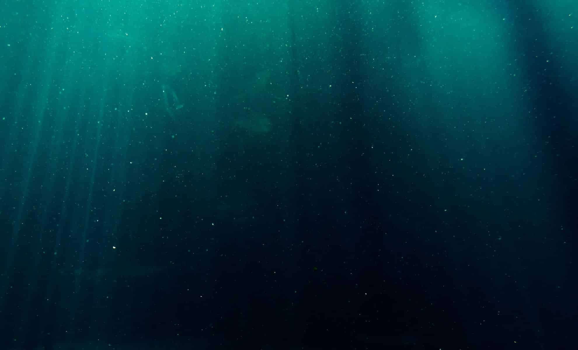 Unveiling Thousands of Novel Microbes in the Ocean’s Deepest Trenches 
