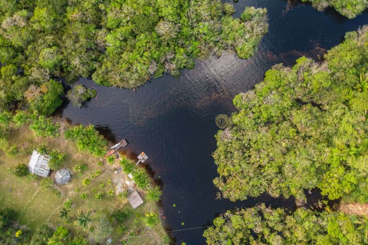Over Two Dozen New Fish Species Uncovered in Peru and Amazon Waters 