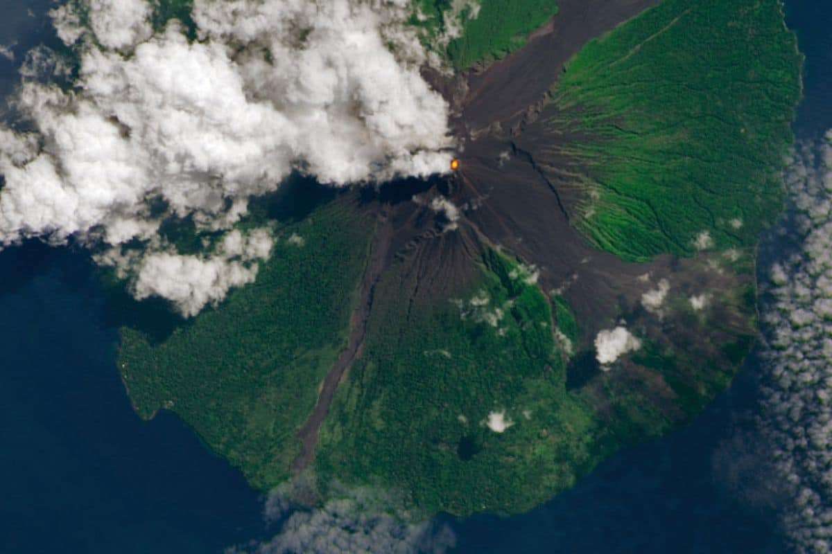Underwater Volcano ‘Sharkcano’ Erupts, Launching a Vast Plume in the Pacific Ocean 