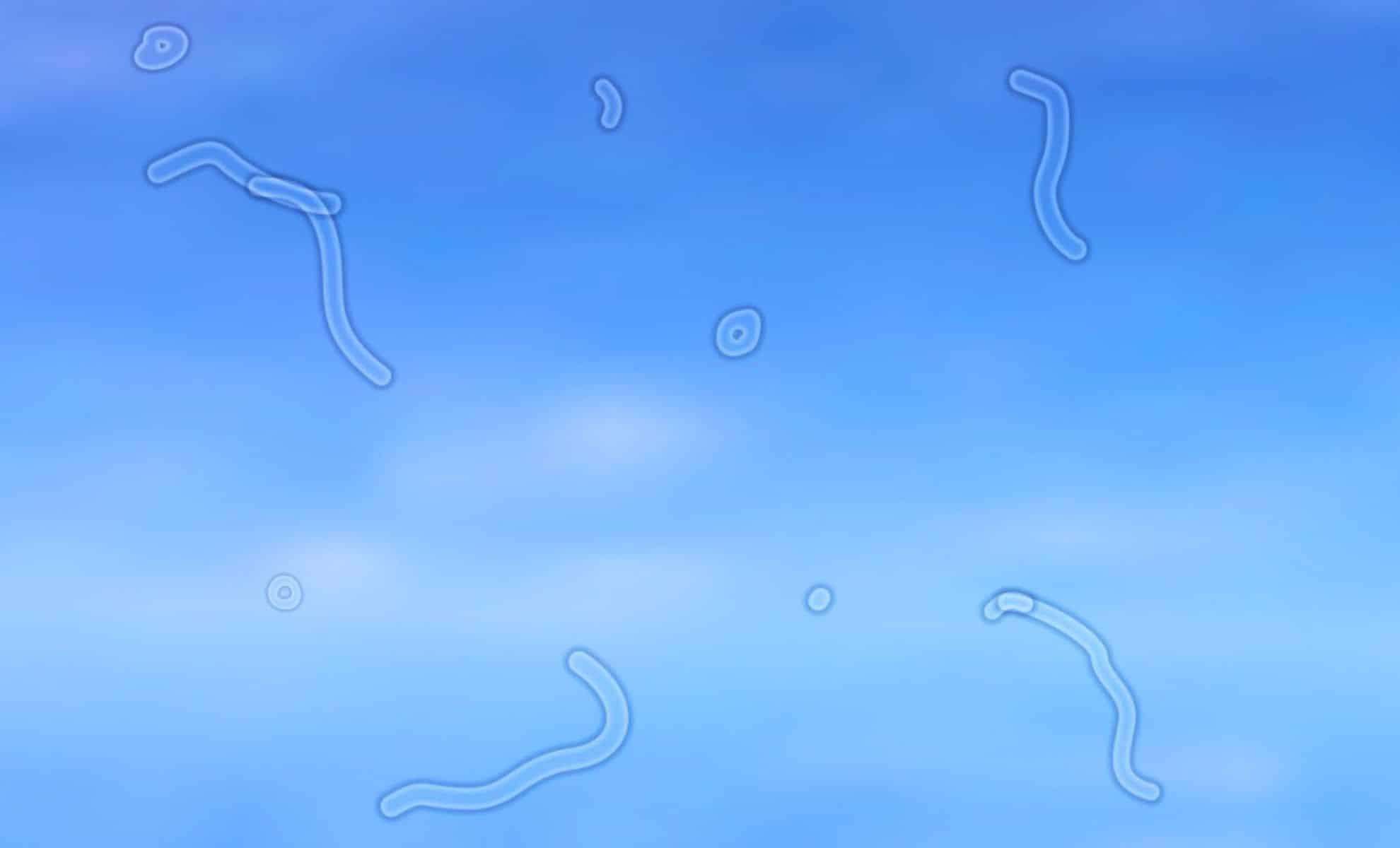 Unraveling the Mystery Behind Those Floating Spots in Your Vision 