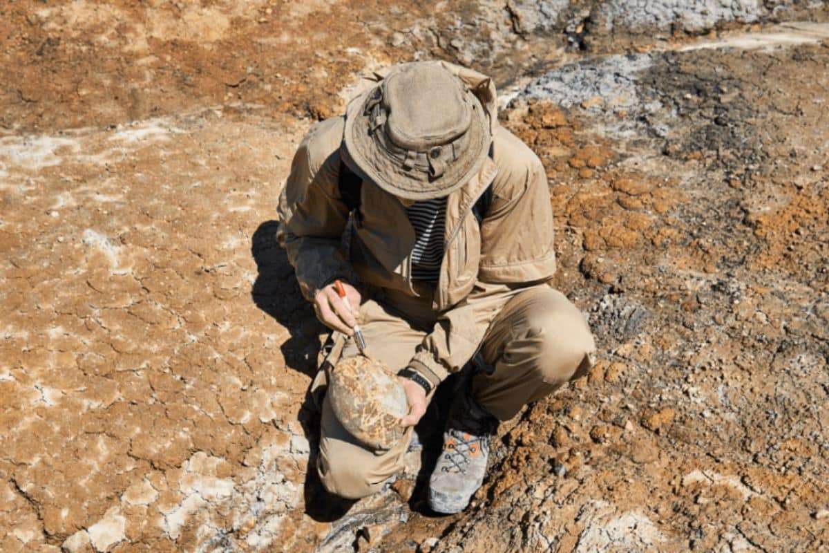 Utah Dinosaur Egg Discovery Unveils Unprecedented Diversity from 100 Million Years Ago 