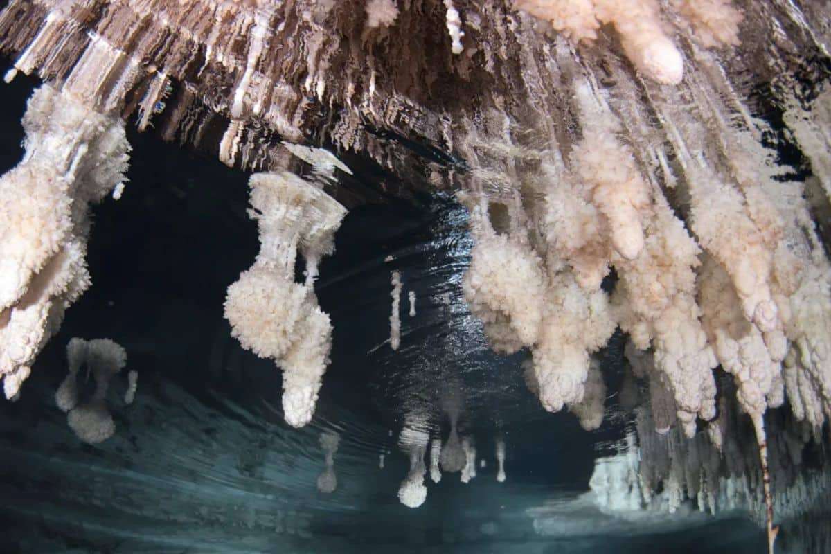 Ancient Underwater Bridge Reveals Mallorca's Human History Dates Back 6,000 Years 