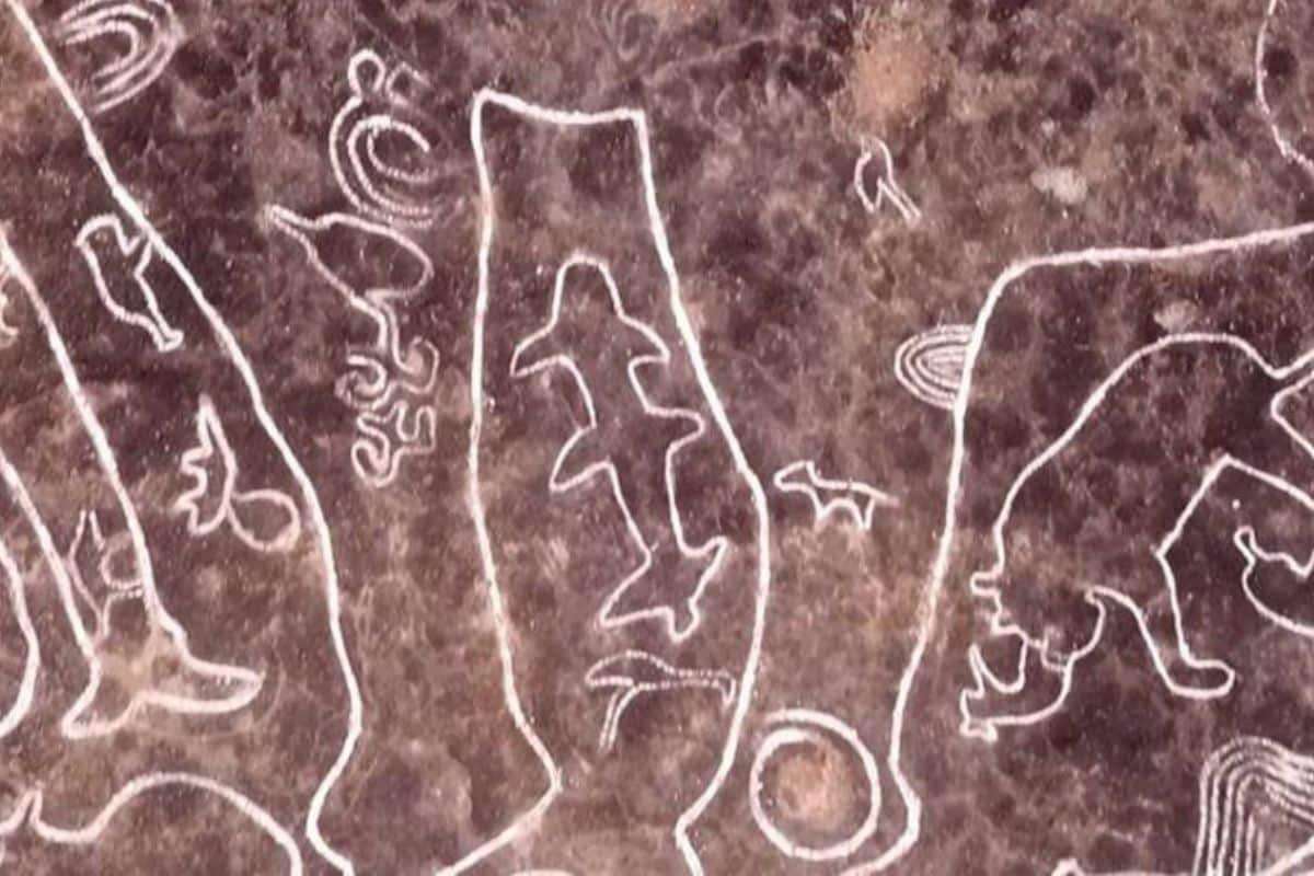 Ancient Petroglyphs Discovered in India Shed Light on a Forgotten Civilization 