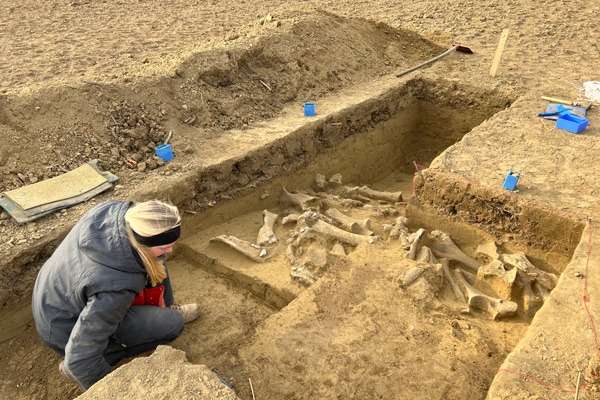 Uncovering-the-mammoth-bones-in-excavation-area-2-5bd9e67fc18ccc62e55c8715fdd369b6.jpeg