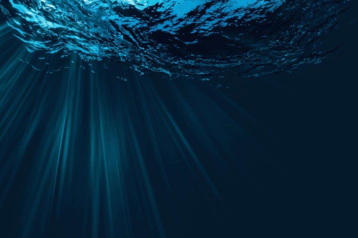Billionaire-Backed Initiative Aims to Establish Human Habitat Underwater by 2027 
