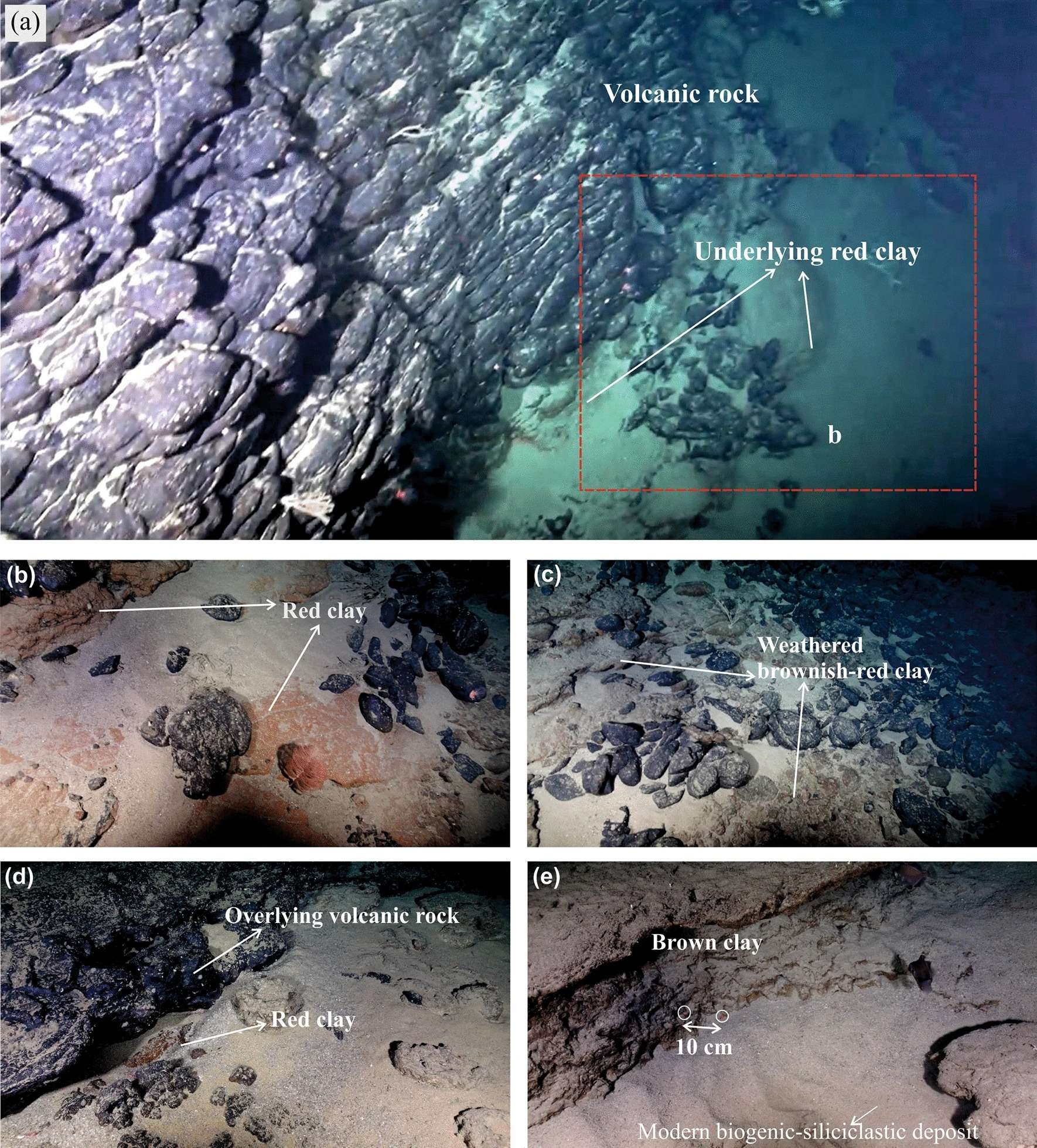 High-definition-images-captured-by-the-ROV-HyBIS-on-the-dive-number-33-1d6bafae388a774a4a00bcd3b697e67f.jpeg
