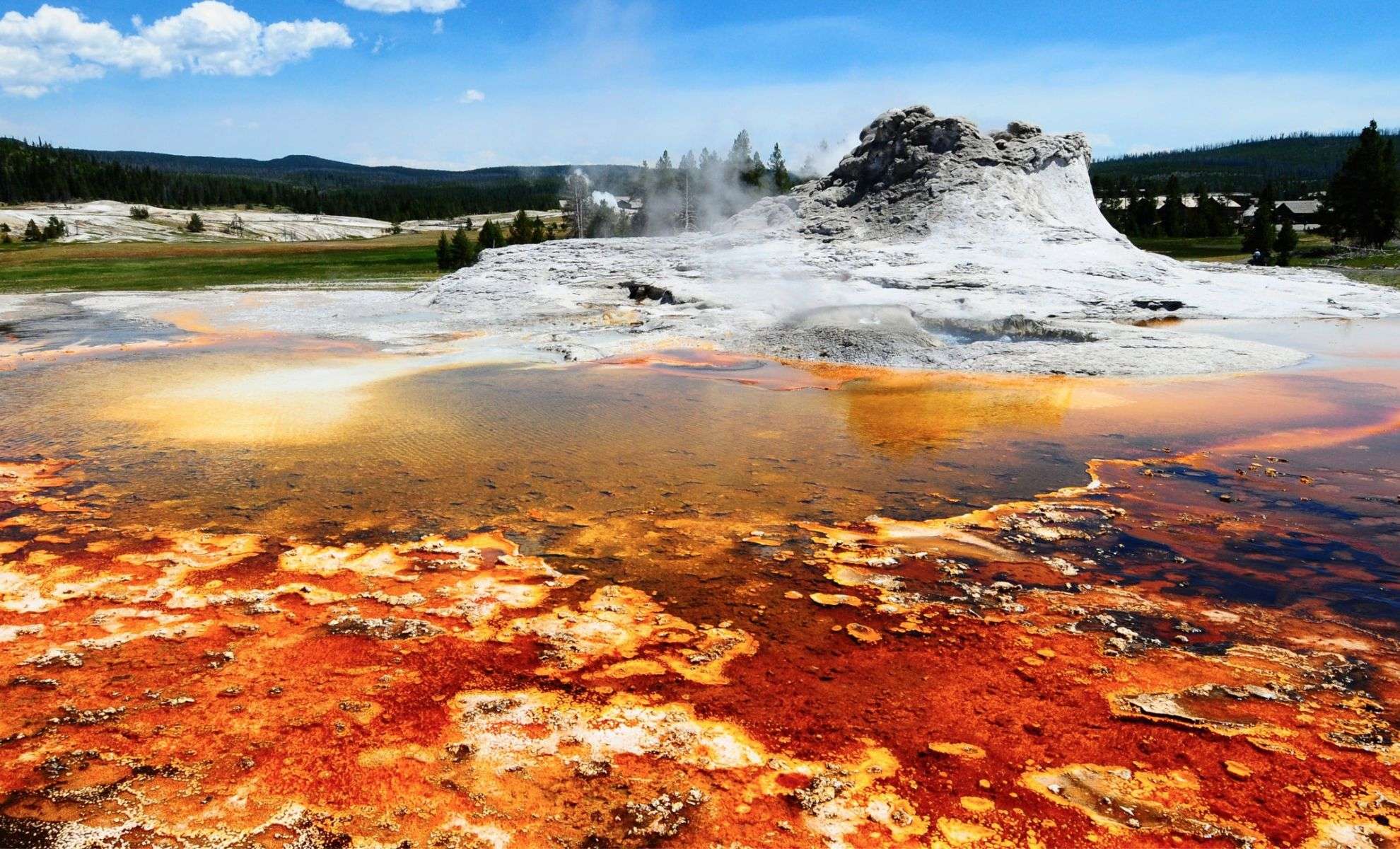 Yellowstone’s Fresh Volcanic Vent Emerges—What Does It Mean for the Supervolcano? 