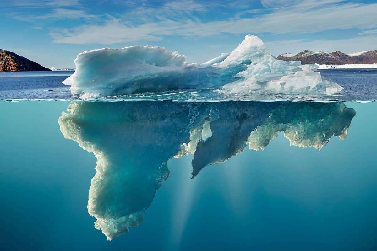 Hidden Antarctic Marine Life Discovered Beneath Newly Detached Iceberg 
