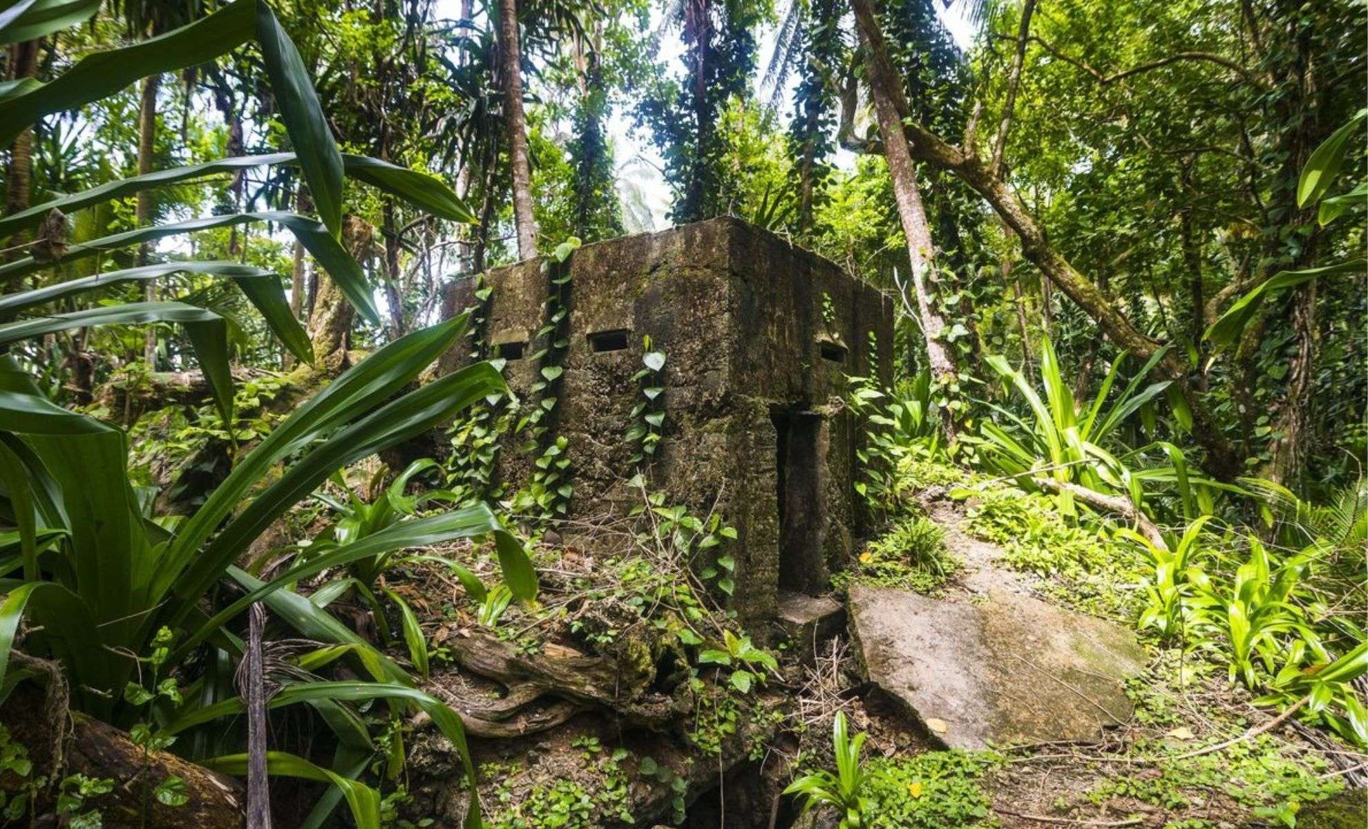 Researchers Unveil a Millennia-Old Fortress Hidden in Romanian Wilderness 