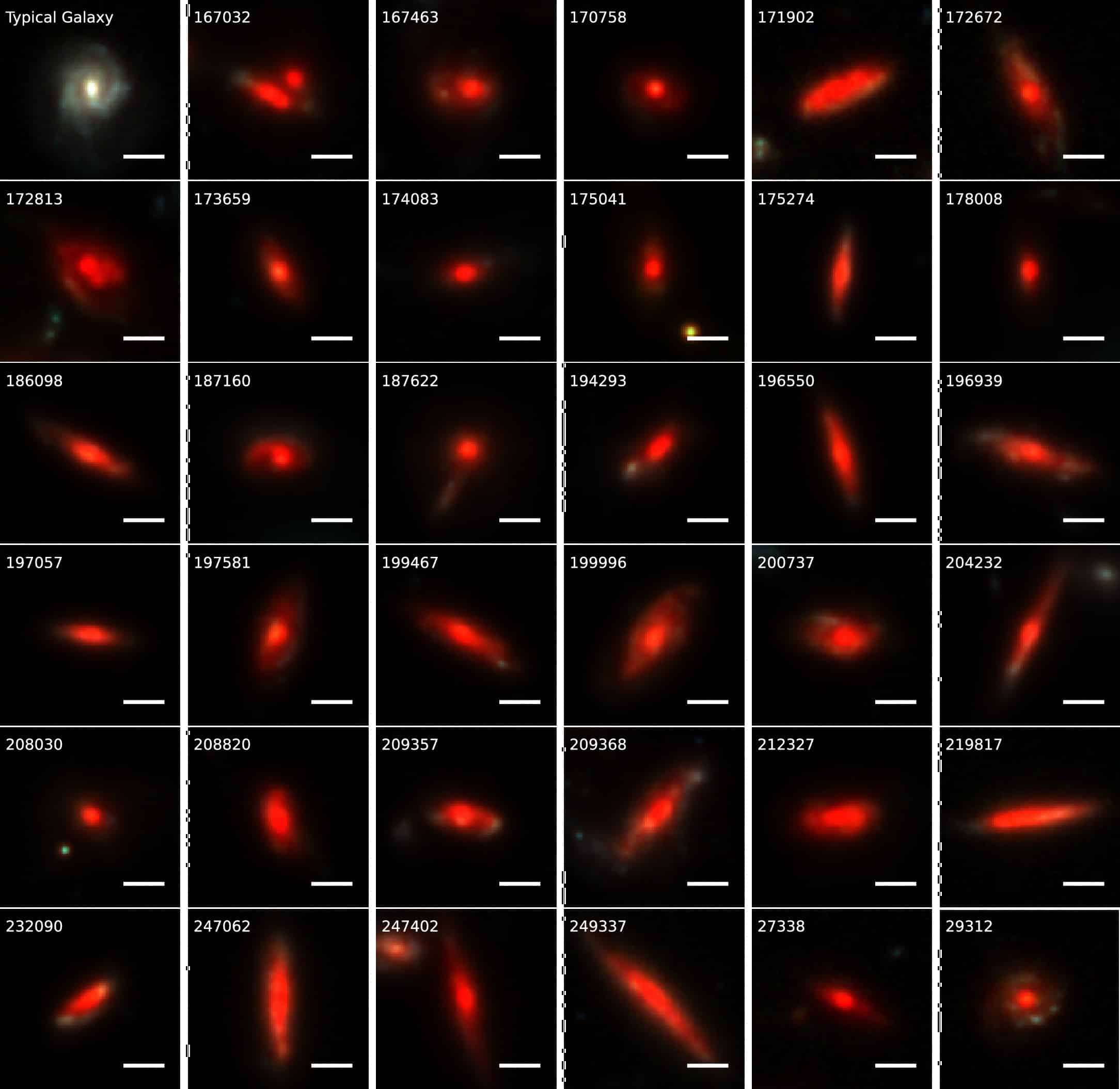 Credit-The-Astrophysical-Journal-2401b69378805f325be60e170406b602.jpg