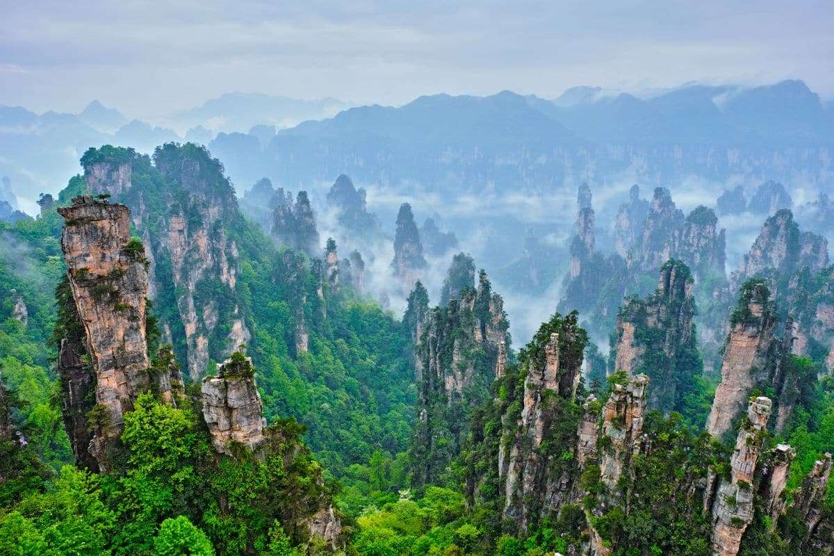 Laser-Equipped Drones Reveal China’s Vast Forest of 142.6 Billion Trees 