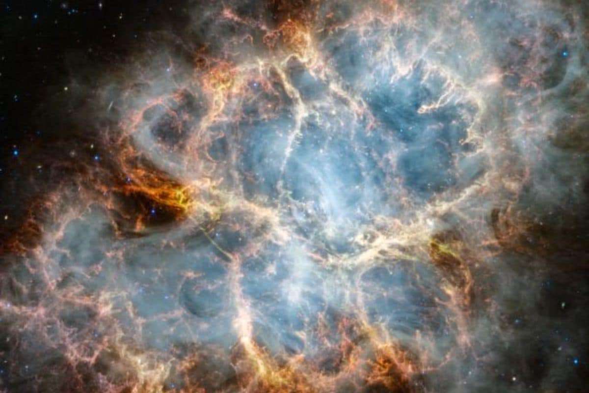 Could Nearby Supernova Explosions Have Caused Earth's Ancient Extinctions? 