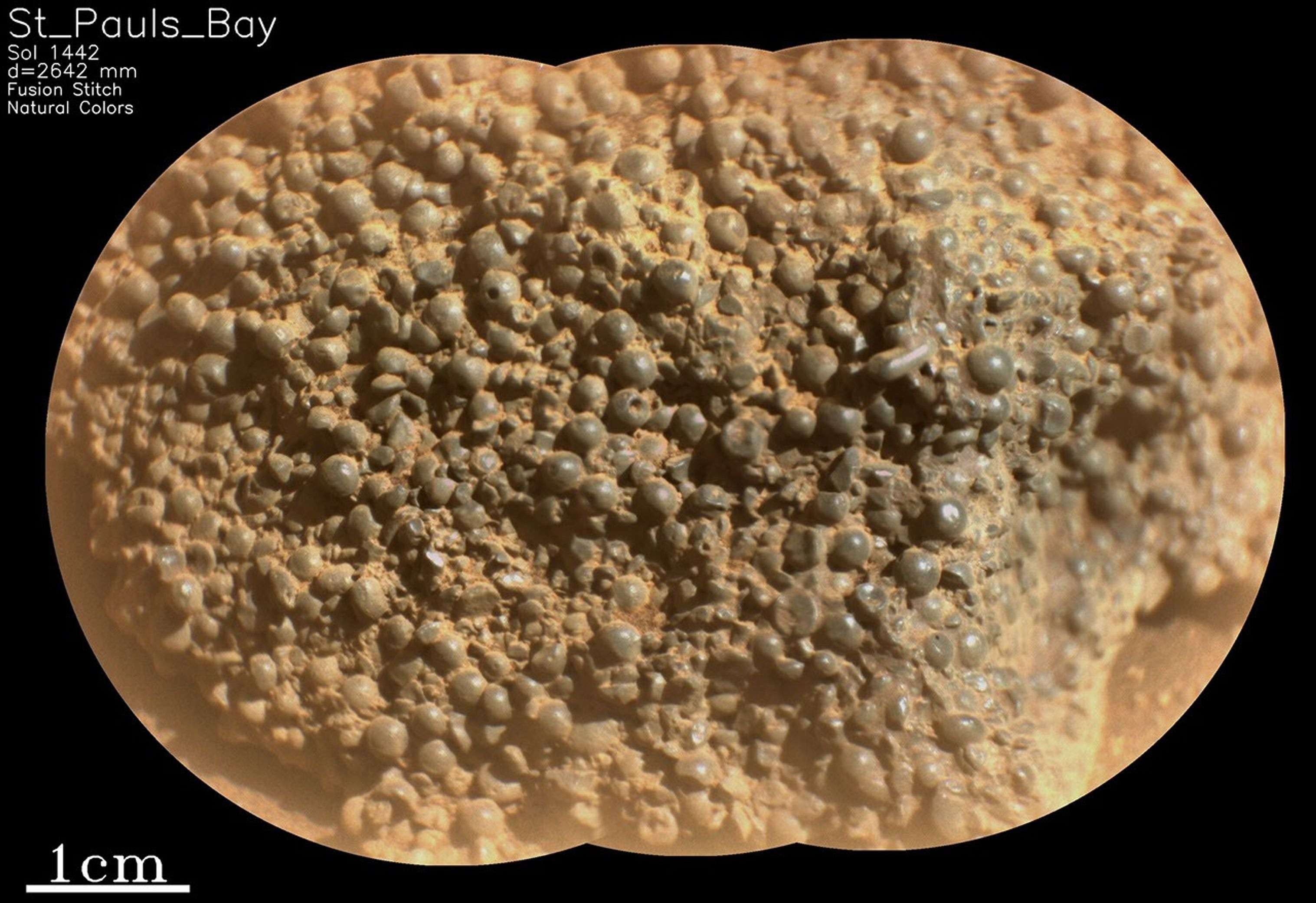 This-image-from-NASAs-Mars-Perseverance-rove-40a48ab926ebd90fbb637c49e3bad92d.jpeg
