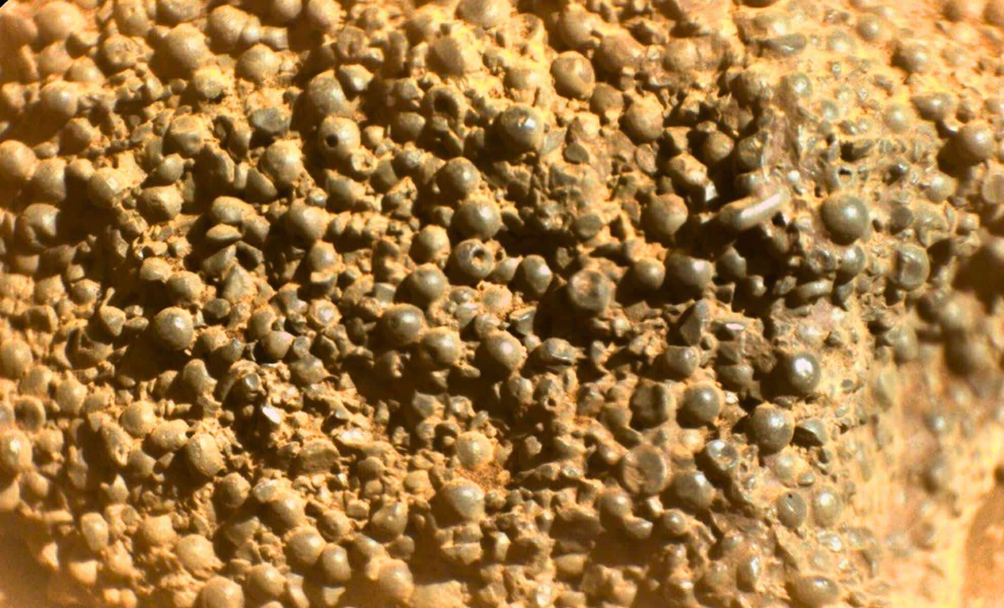 Mars Rover Uncovers Mysterious Rock Adorned with Hollow Spheres, Fueling Scientific Debate 