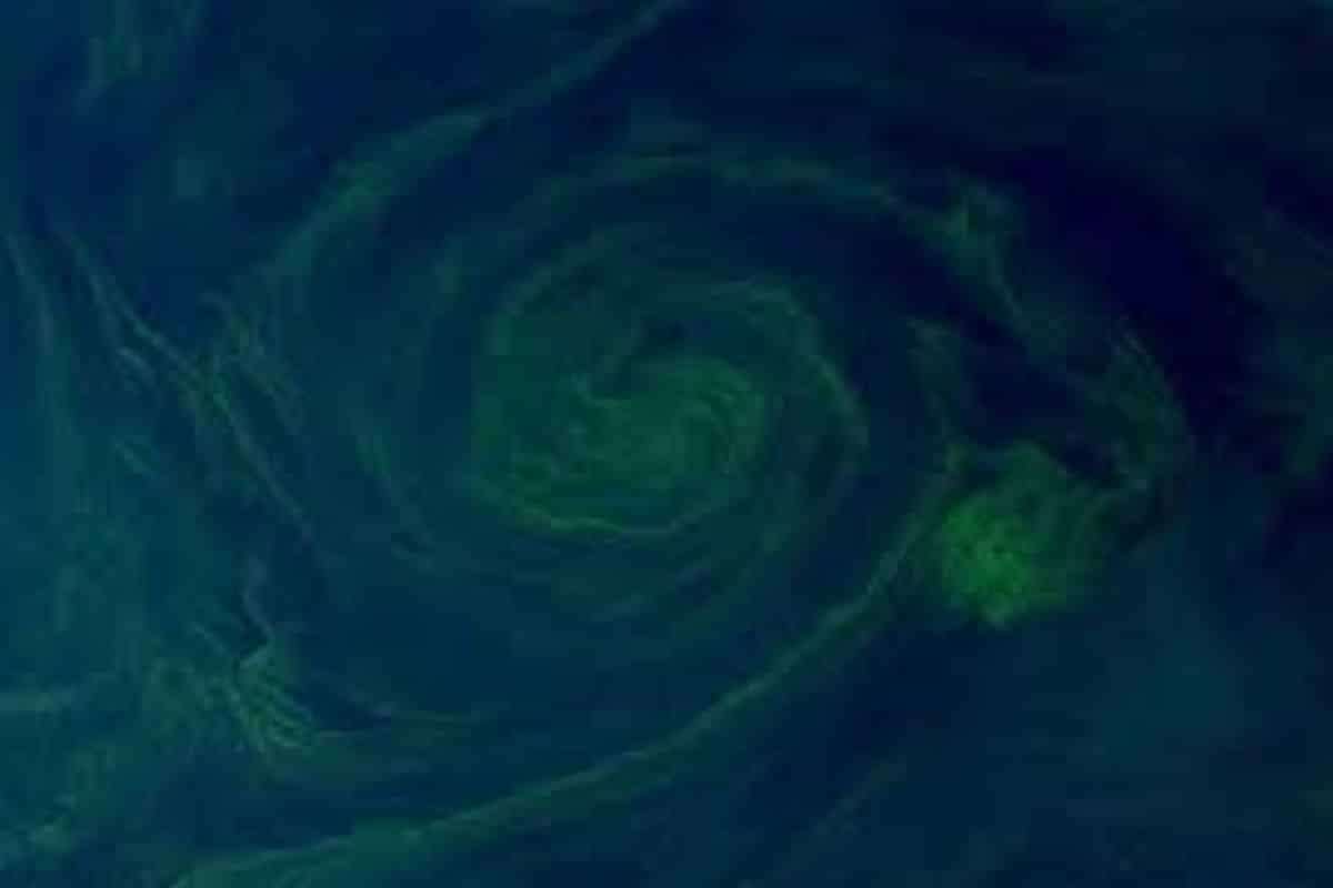 Unnatural Green Glow in the Gulf of Oman Signals Alarming Ecological Shift 