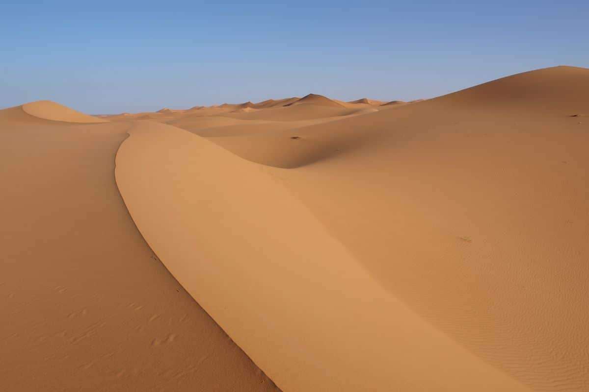 Storms Create Temporary Lakes in the Sahara, Revealing Climate Surprises 