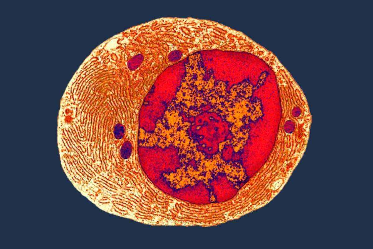 New Evidence Pushes LUCA's Origin Back Billions of Years 
