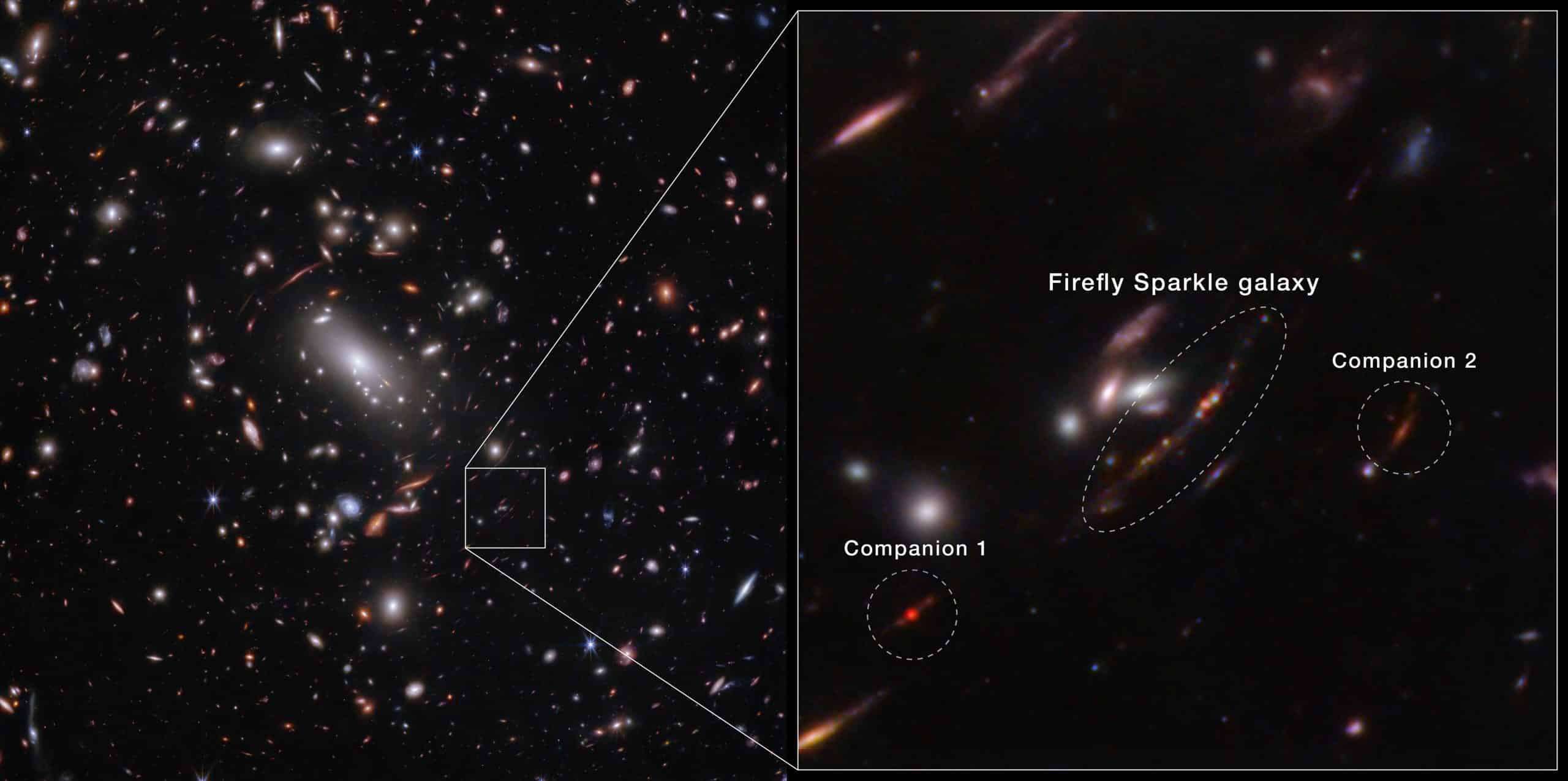 Firefly-Sparkle-Galaxy-and-Companions-in-Galaxy-Cluster-MACS-J1423-Webb-NIRCam-81a7d67a0eaa8d8935712306cd0a93dc.jpg