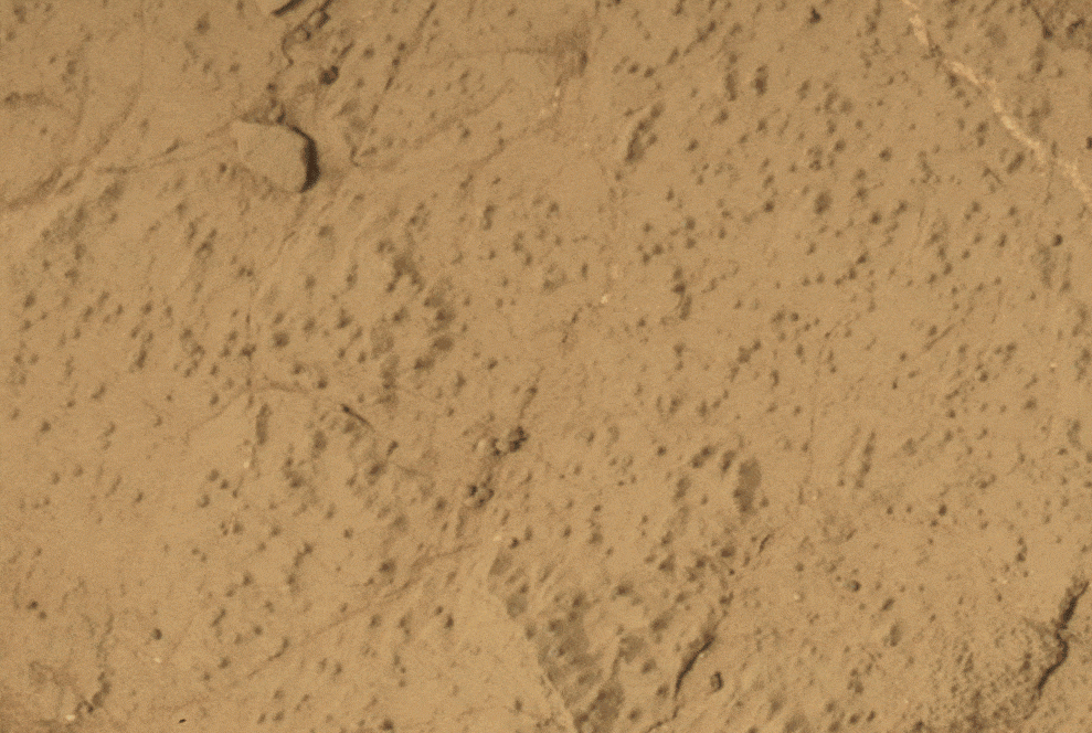 Cumberland-Drill-Hole-PIA16935_Rotated-4219d8ce8aa12a6c73954c4425fc8f79.gif